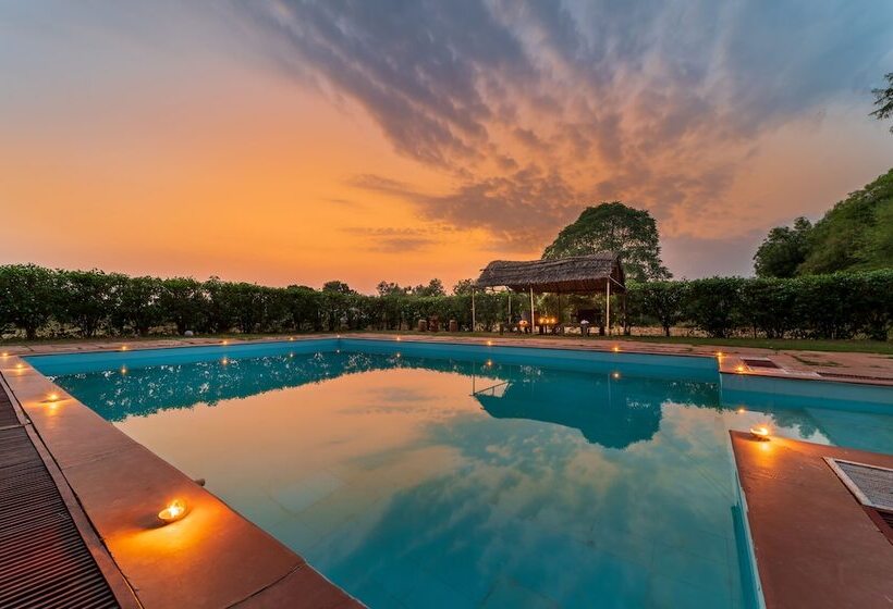 ホテル Tiger Machan