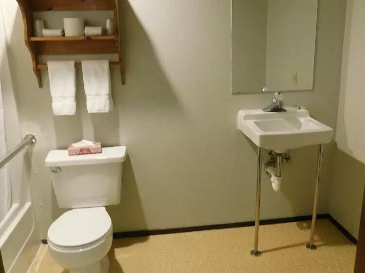 فندق على الطريق Packwood Inn