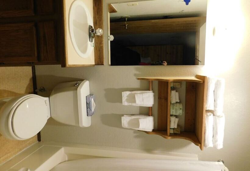 汽车旅馆 Packwood Inn