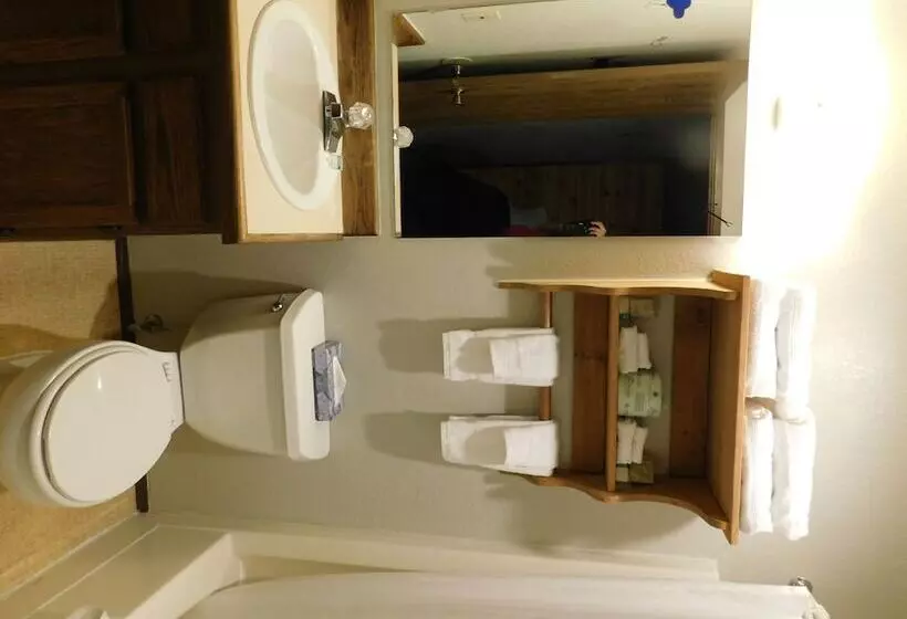 فندق على الطريق Packwood Inn