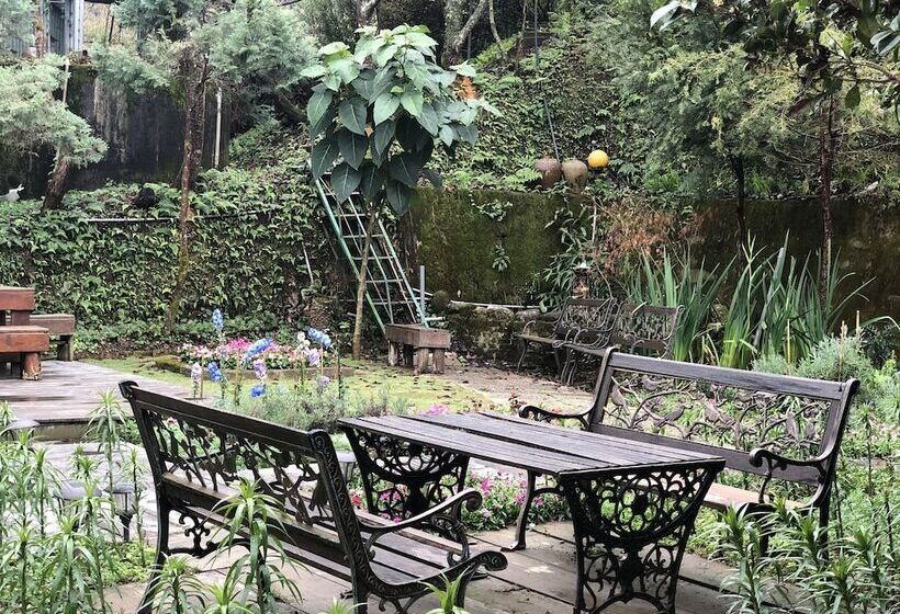 هتل Guan Wu Chia Cao