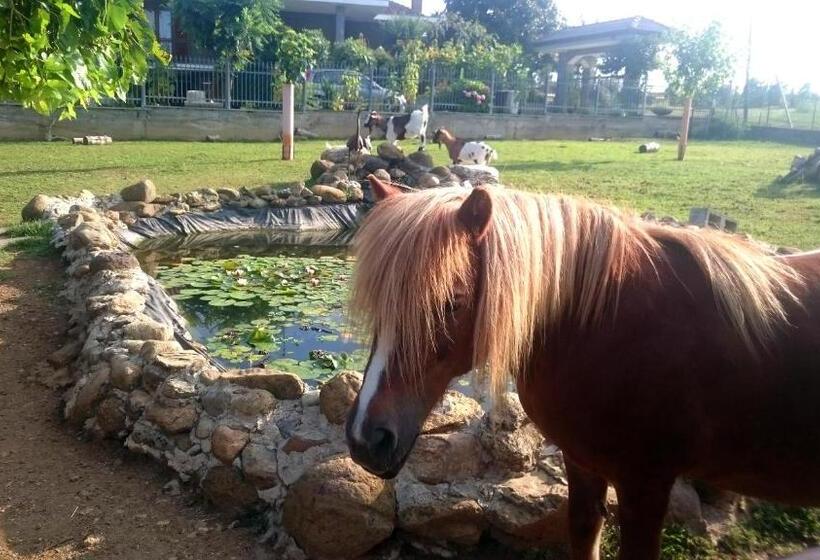 住宿加早餐  Ciliegissima