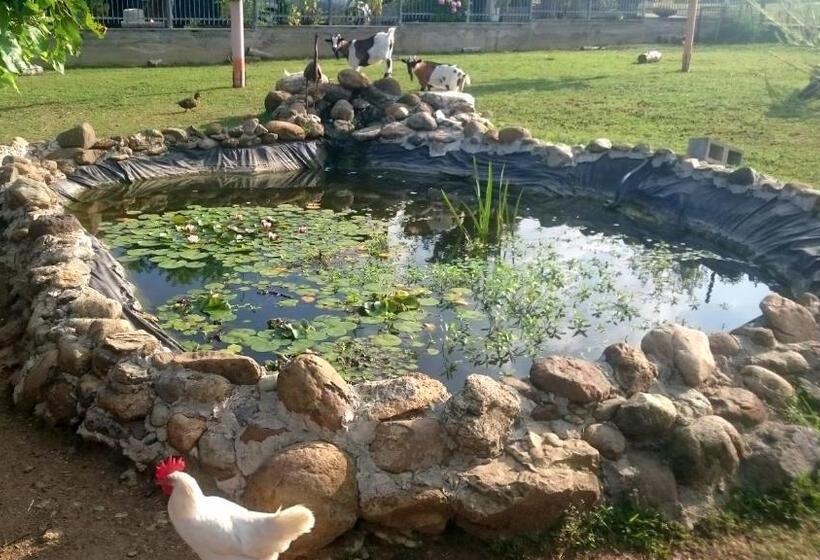 住宿加早餐  Ciliegissima