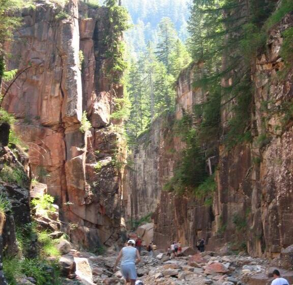 ベッドアンドブレックファースト Garni Sonnegg