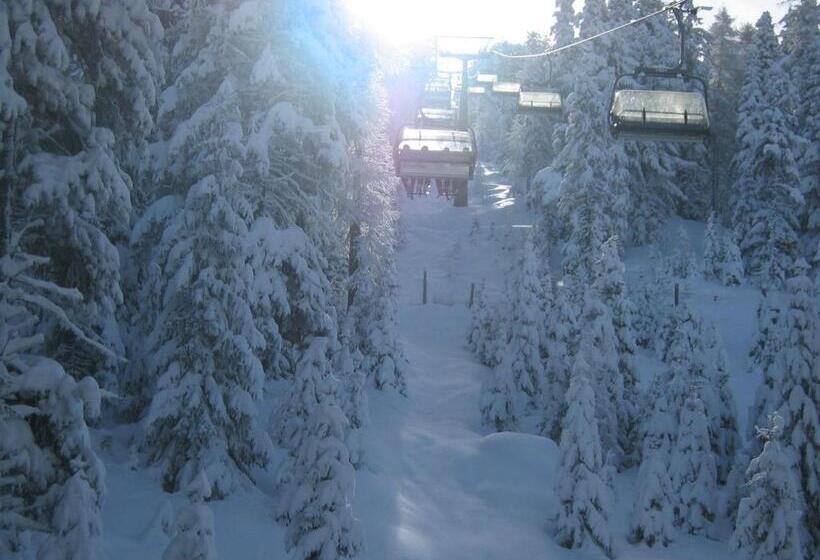 ベッドアンドブレックファースト Garni Sonnegg