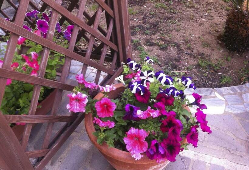 민박 Torre Del Pozzo