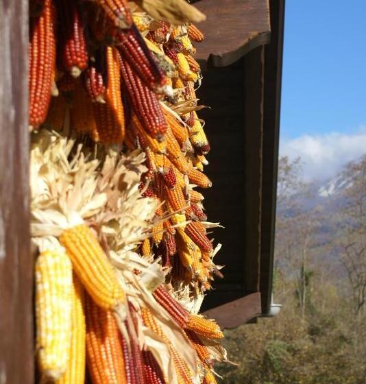 Coste Del Gaggio   Country House B&b   Garda Trentino