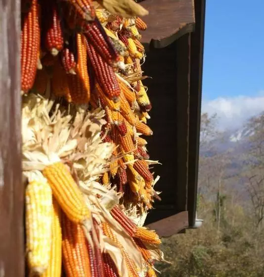 Coste Del Gaggio   Country House B&b   Garda Trentino