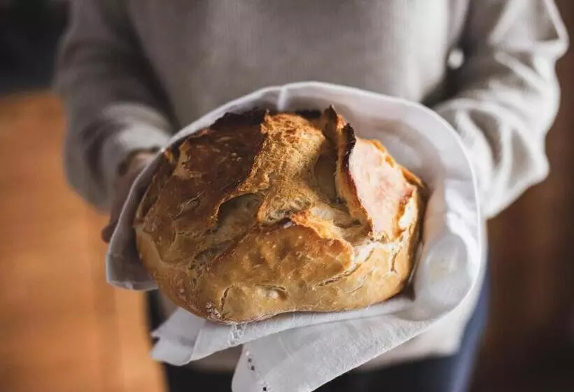 Coste Del Gaggio   Country House B&b   Garda Trentino