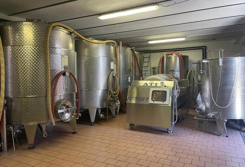 ホテル Agriturismo Finestre Di Langa