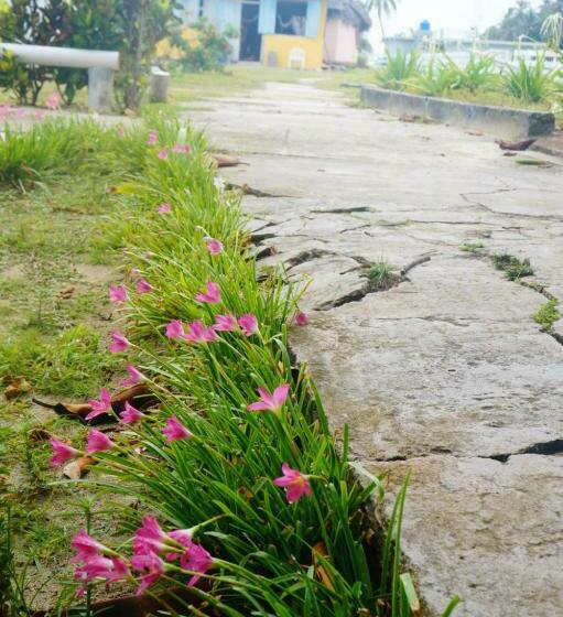 فندق El Porvenir