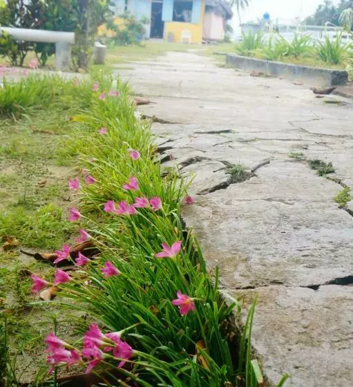 ホテル El Porvenir