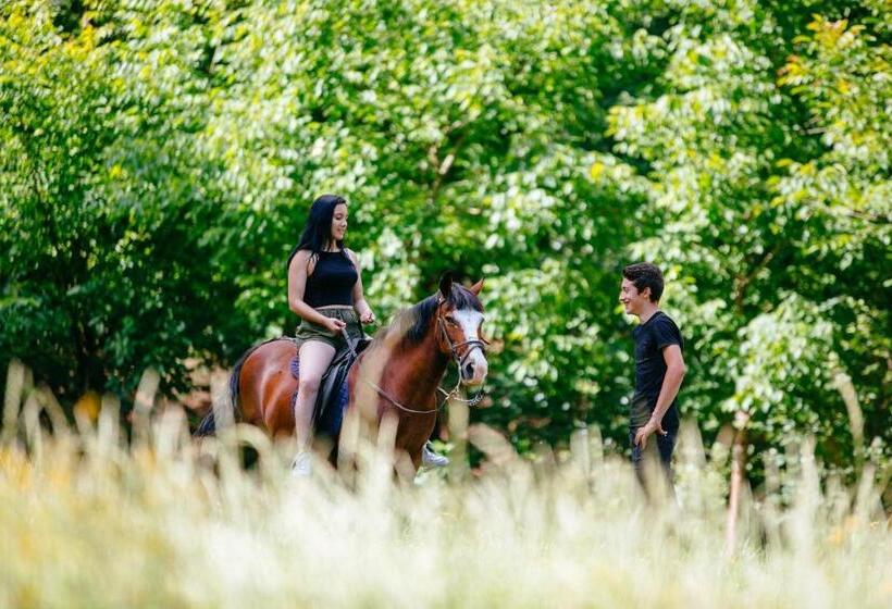 酒店 Quinta Do Rio Gerês
