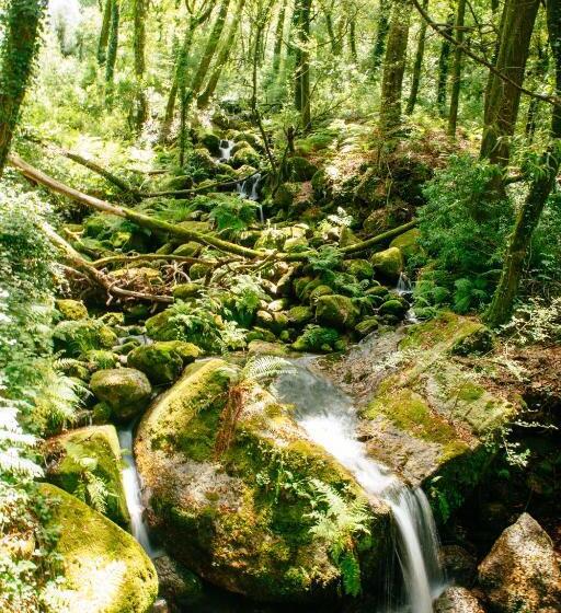 酒店 Quinta Do Rio Gerês
