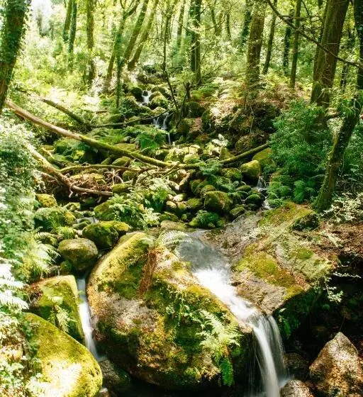 Hotelli Quinta Do Rio Gerês