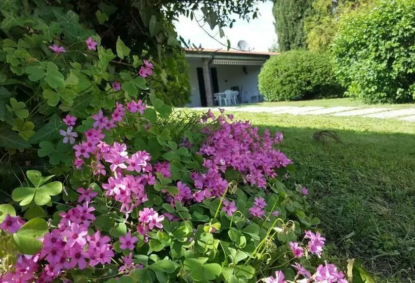 Italsol Residence Riai