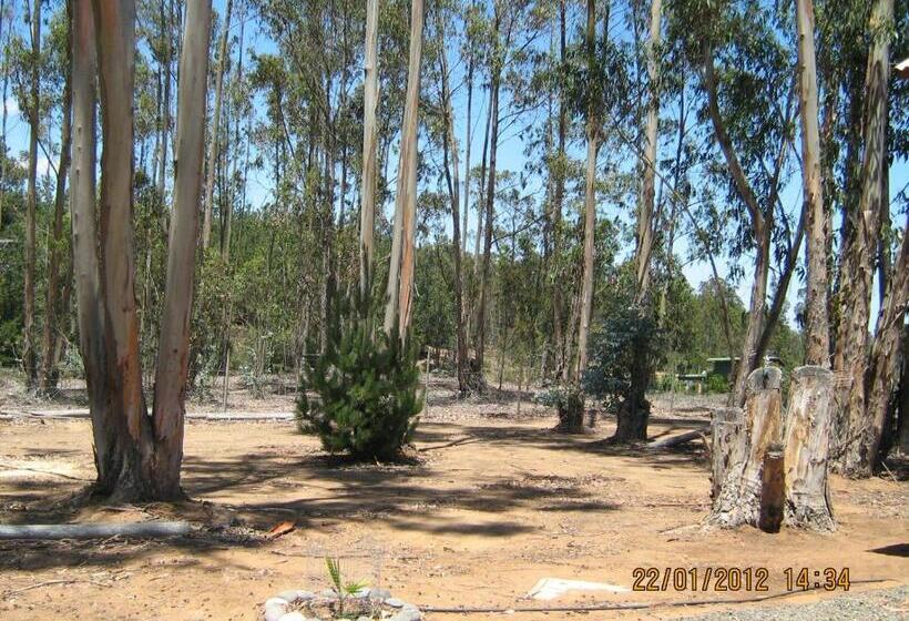 پانسیون Cabañita Totoverde