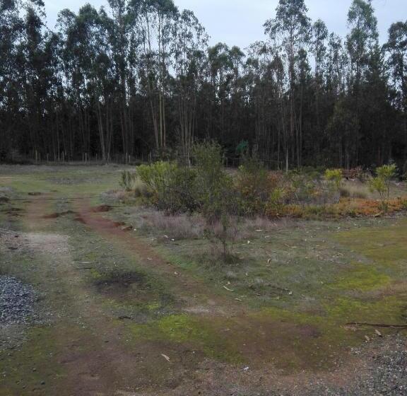 پانسیون Cabañita Totoverde