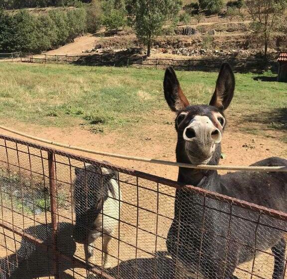 پانسیون Valonquinta   Agro Hotel & Spa