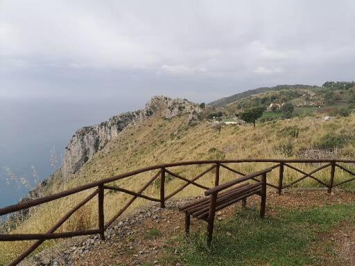 住宿加早餐  Daniela