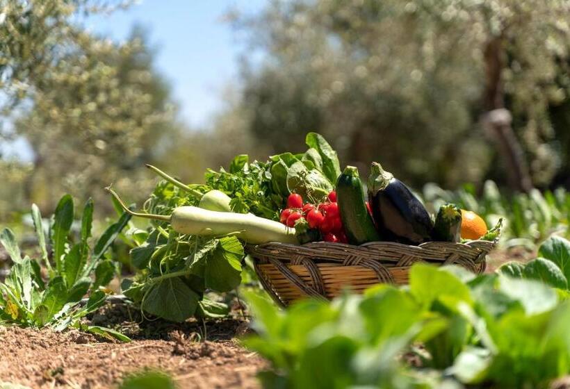 호텔 Baglio Donna Concetta