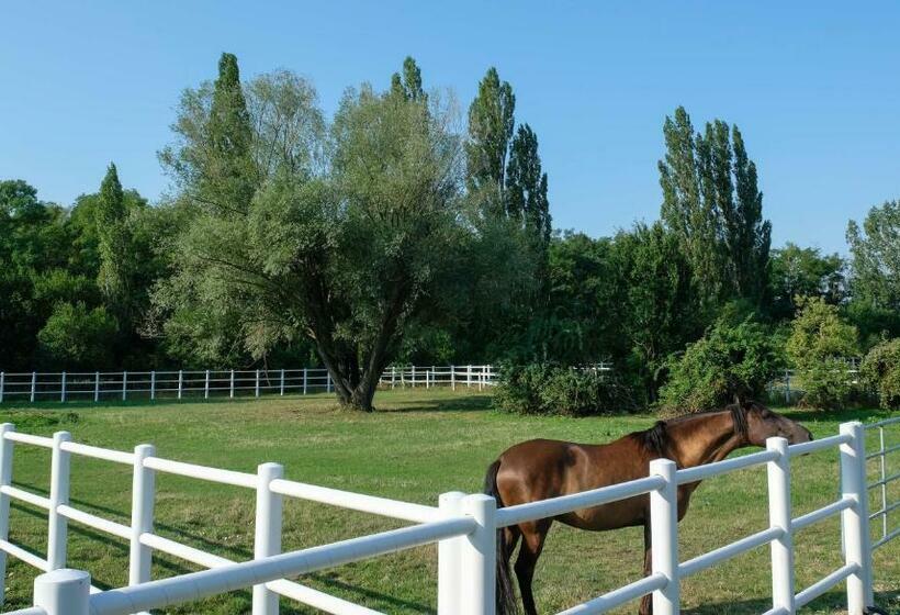 ホテル Equiliber Reitkunstzentrum Burgenland