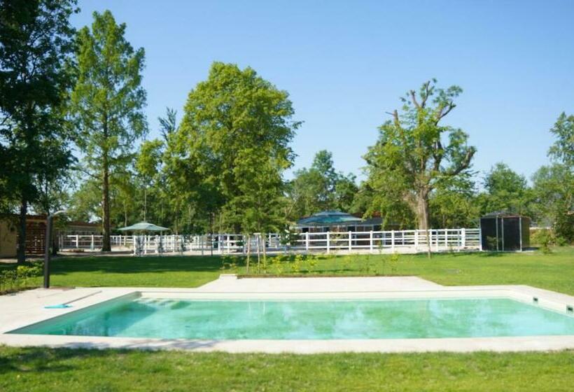 ホテル Equiliber Reitkunstzentrum Burgenland