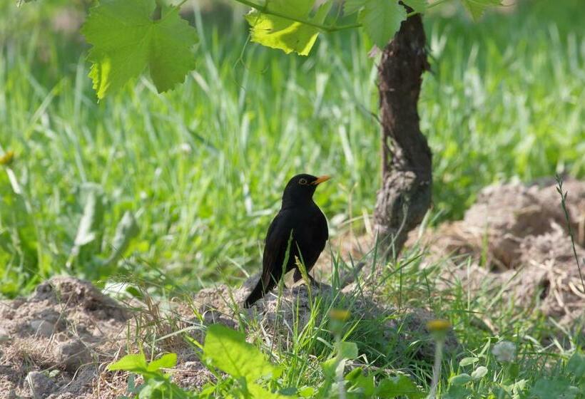 בית מלון כפרי Tenuta Santomè