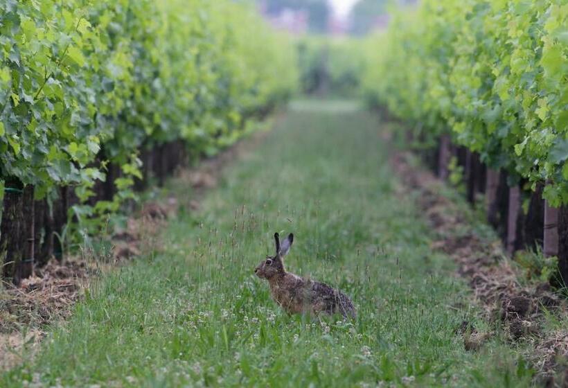 בית מלון כפרי Tenuta Santomè