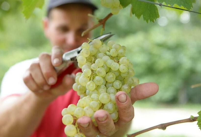 בית מלון כפרי Tenuta Santomè