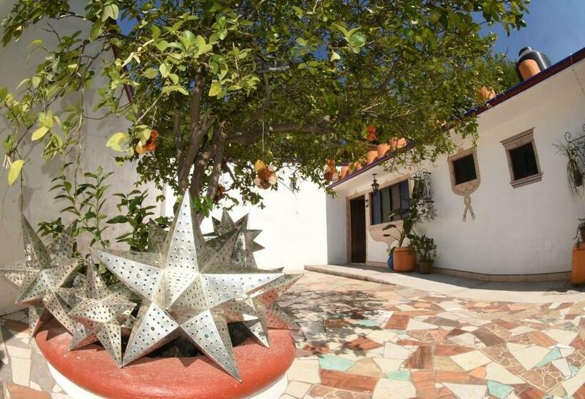 Pensjonat Casa Limon