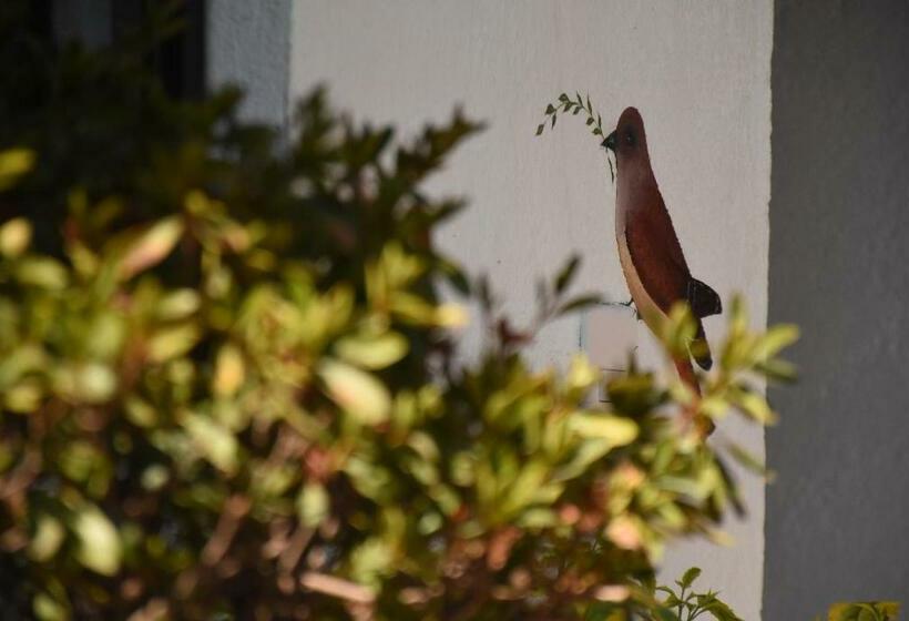 Pensjonat Casa Limon