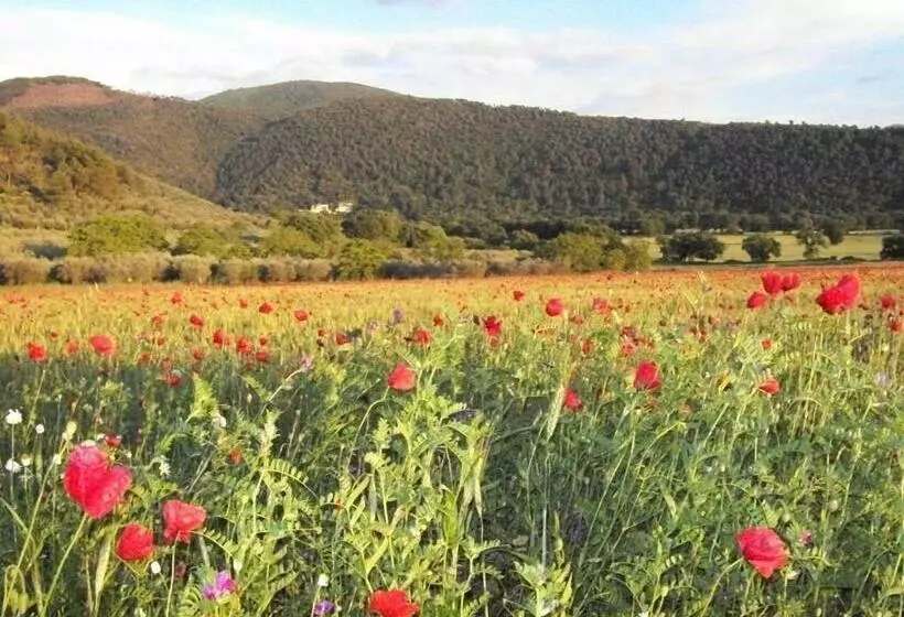 ホテル Agriturismo Il Casalino