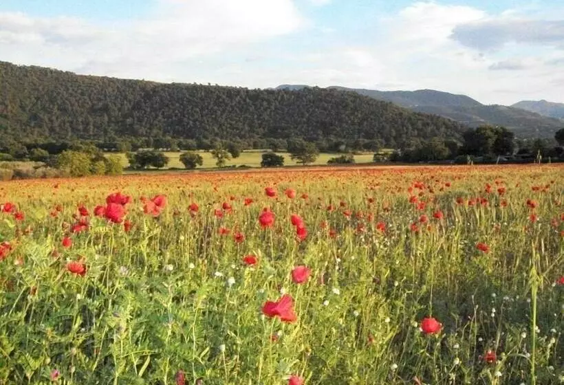 ホテル Agriturismo Il Casalino