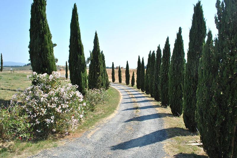 Отель Agriturismo Il Poggio