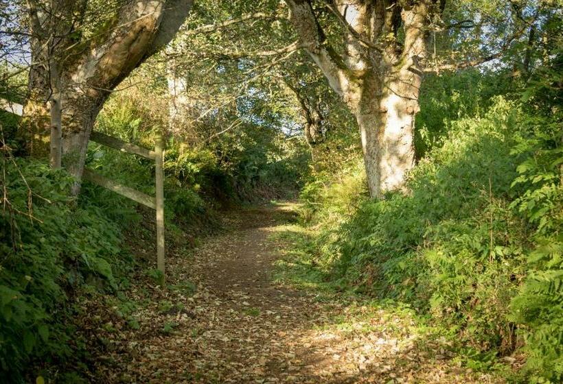 Kirkmichael House B&b