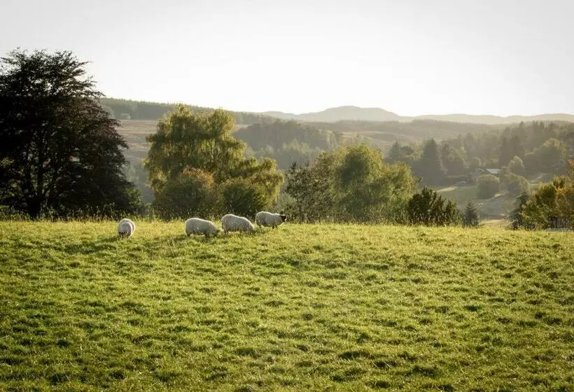 Kirkmichael House B&b