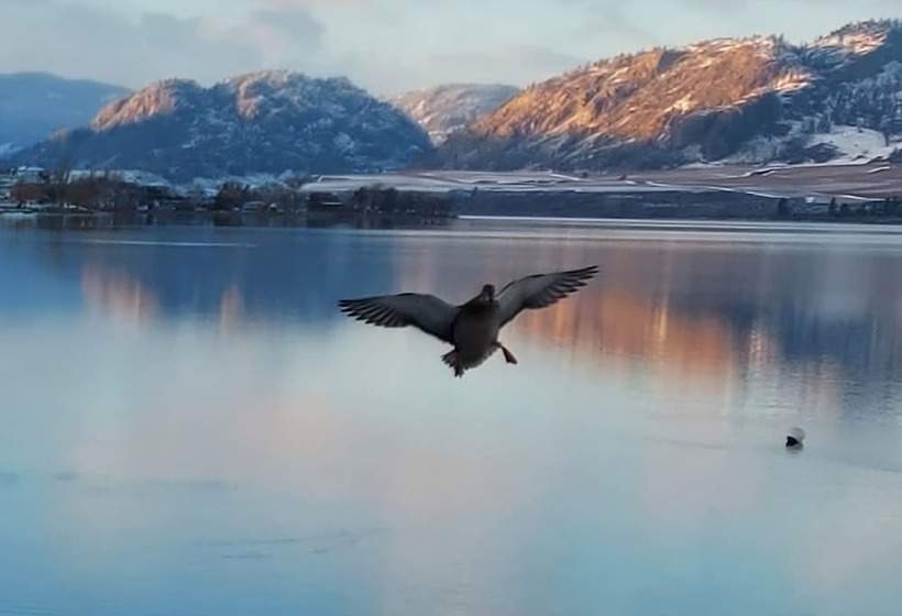 汽车旅馆  Richter Pass Beach Resort