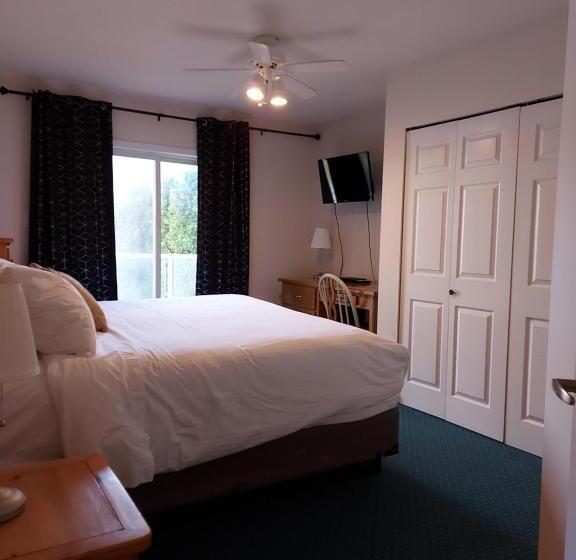 汽车旅馆  Richter Pass Beach Resort