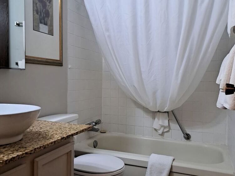 汽车旅馆  Richter Pass Beach Resort