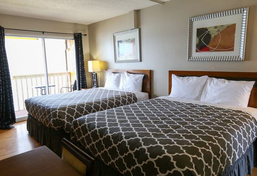 汽车旅馆  Richter Pass Beach Resort