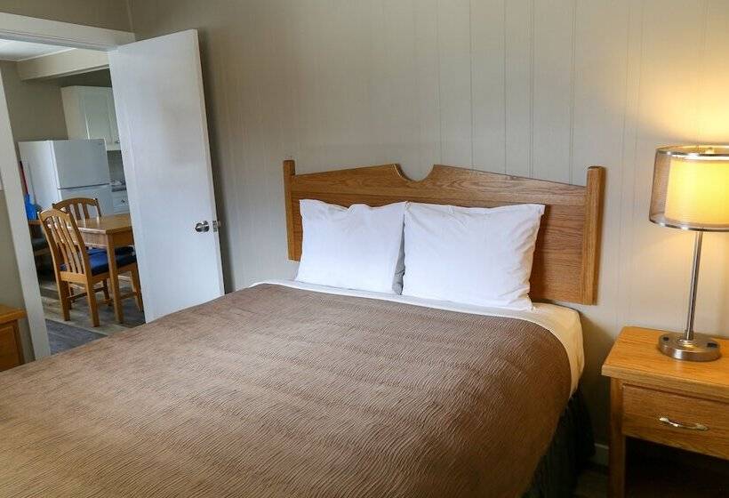 汽车旅馆  Richter Pass Beach Resort