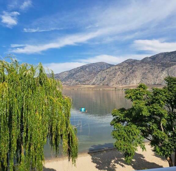 汽车旅馆  Richter Pass Beach Resort