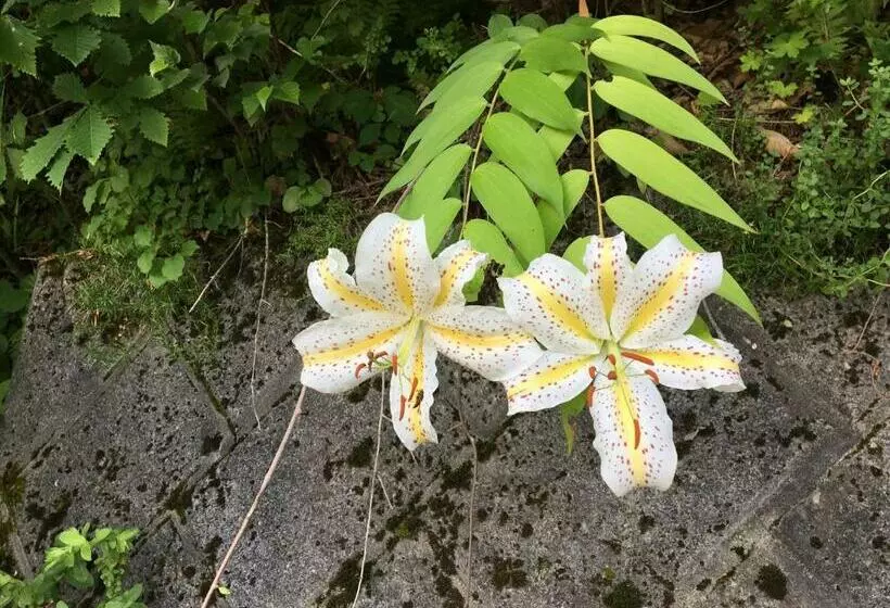 Pension ぽかぽか（poka Poka）