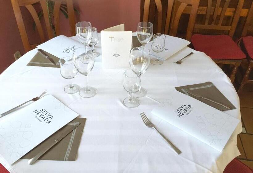 Apart Hotel Selva Nevada