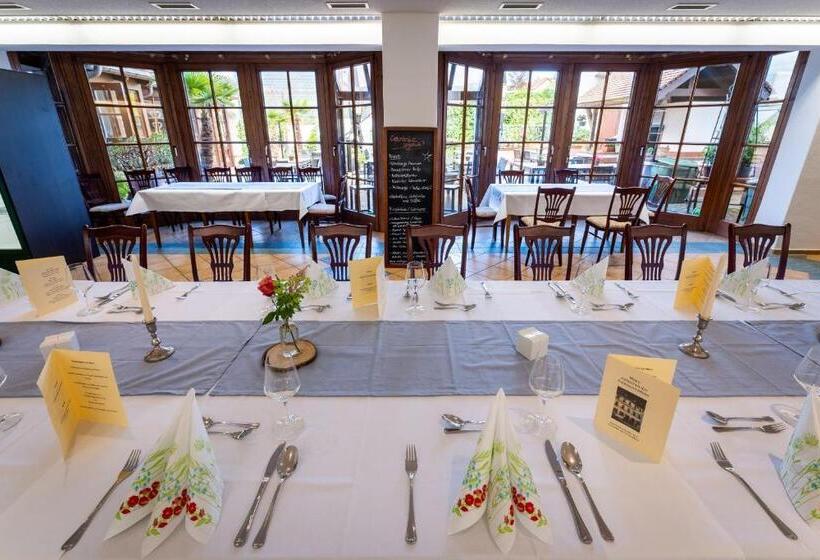 בית מלון כפרי Reussischer Hof