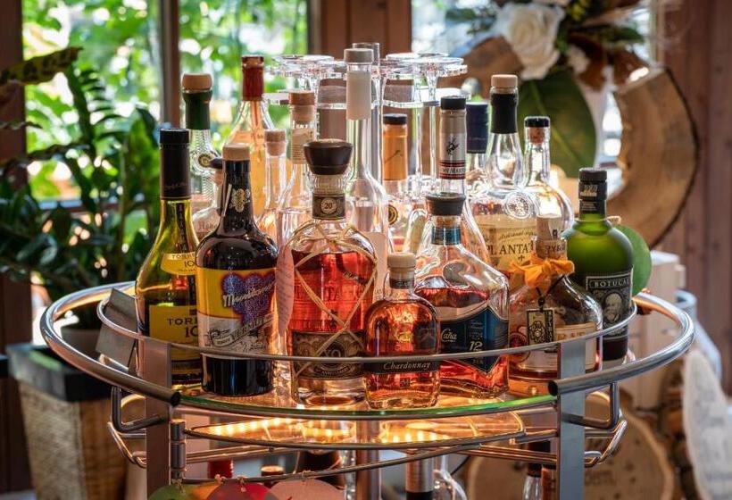 בית מלון כפרי Reussischer Hof