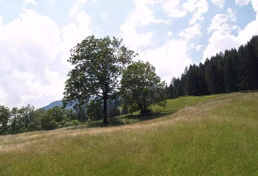 Pension Talblick In Wängle Bei Reutte