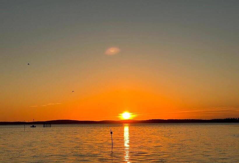 Bed and Breakfast Chambres D Hôtes Villa La Louisiane