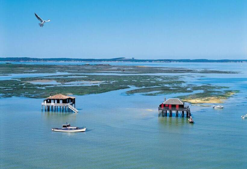 Bed and Breakfast Chambres D Hôtes Villa La Louisiane